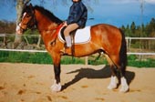 Benjamin 5 år