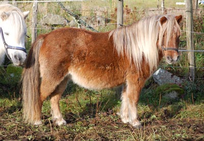 Wilma 2011