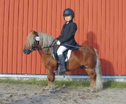 Foto: Mia Kronblad