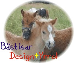 B&auml;sta kompisarna Kronblads Design (Diplom) och Kompis Yrrol (godk.hingst), b&aring;da efter Kompis Steve RS 374  Foto: Mia Kronblad