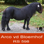 Arco