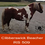 Beacher