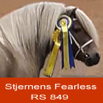 Fearless