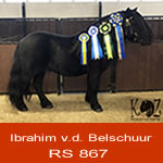 Ibrahim