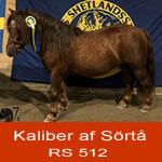 KALIBER