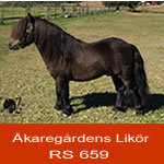 Likor