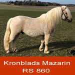 Mazarin