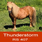 Thunderstorm