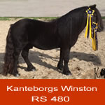 Winston