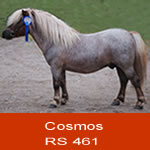 cosmos