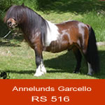 garcello