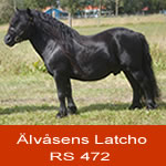 latcho