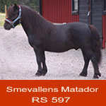 matador