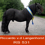 riccardo