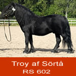 Troy