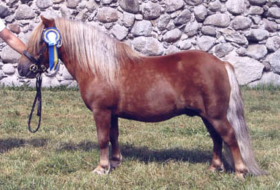 Foto: Magnus Archenholt